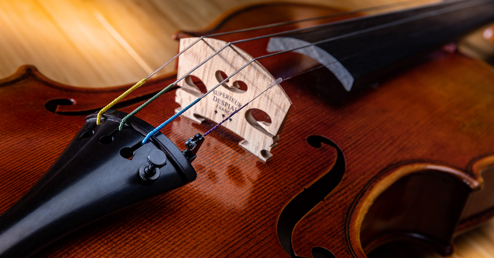 What Are Orchestral Strings Made of? String Materials Explained